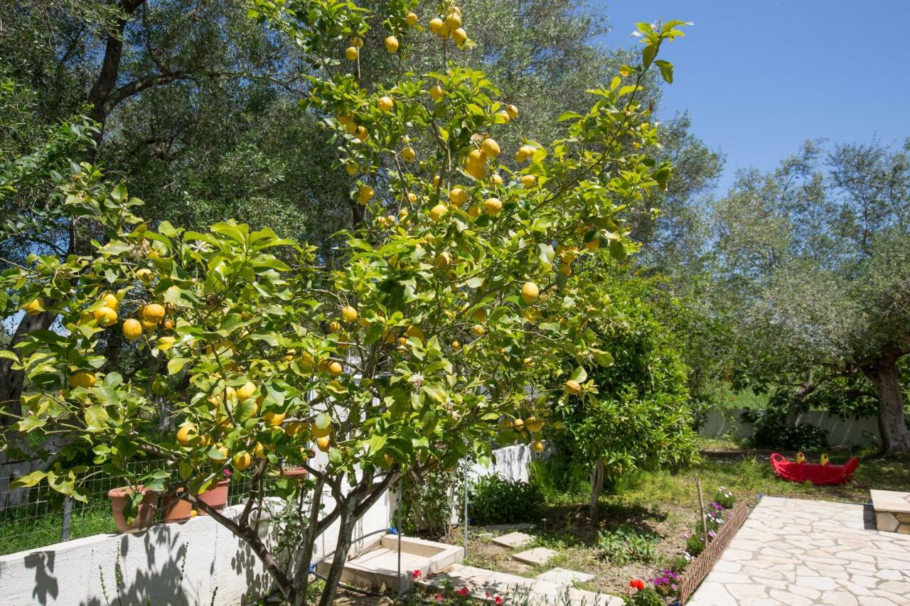 Hébergement de vacances Karia *